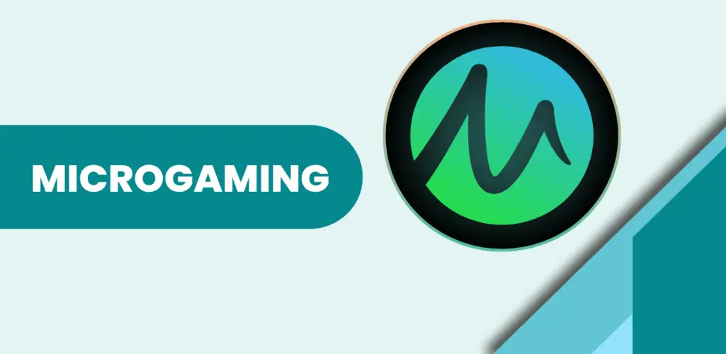 What Are Microgaming Software?