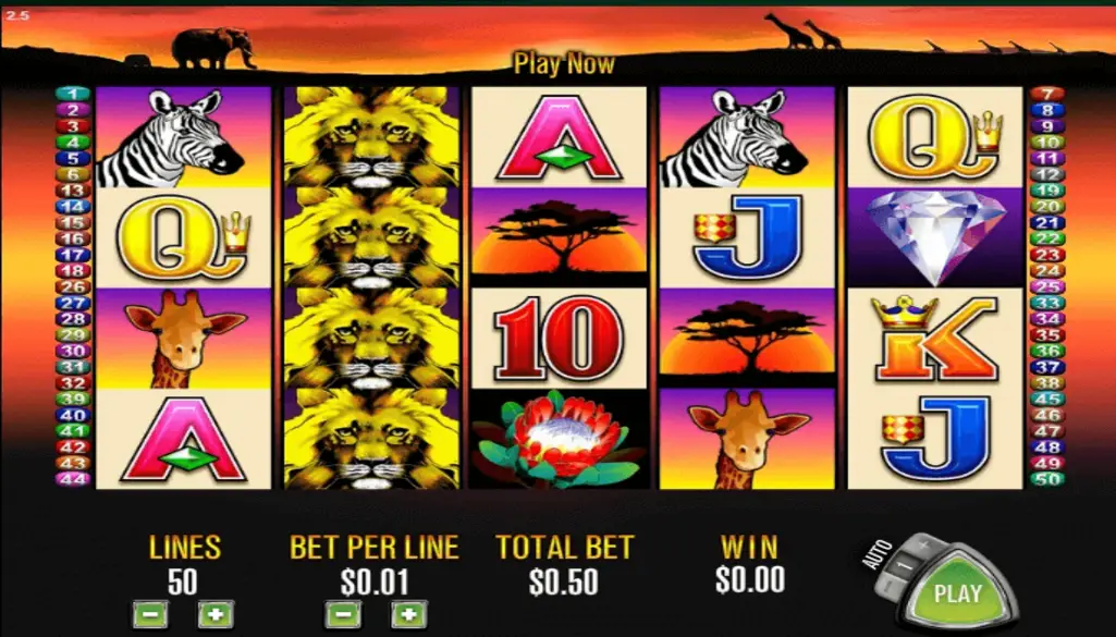 50 Lions Pokie Bonus