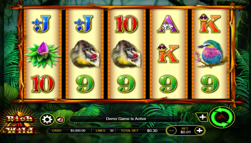 Rich’n’Wild Pokie Bonus